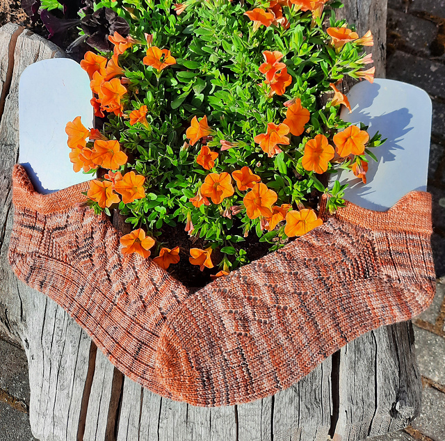 Sommerwelle