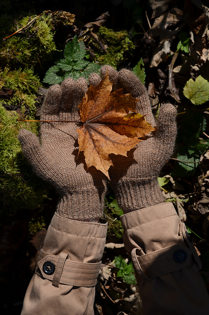 Fingerhandschuhe