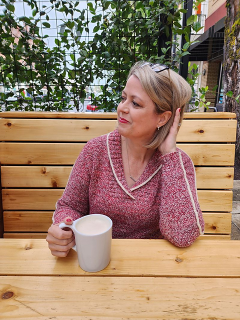 Winterlandia Pullover