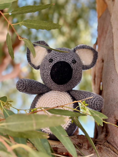 Kioni the Koala