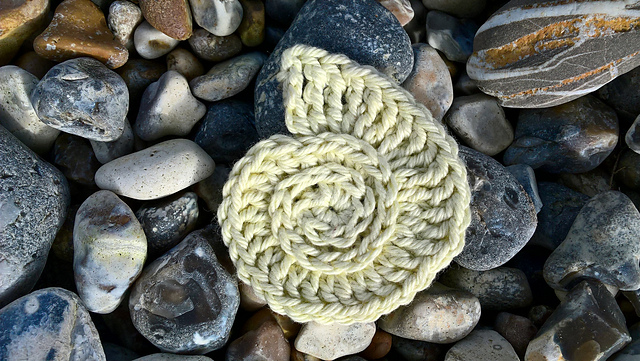 Ammonite