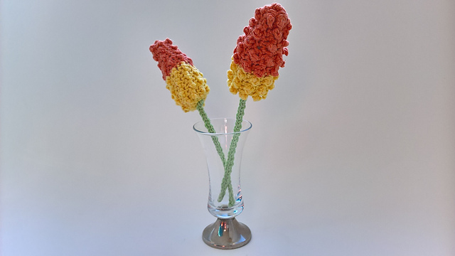 Red hot poker flower