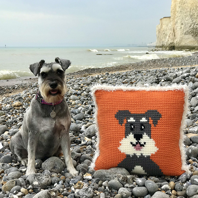 Salty Schnauzer Dog Cushion