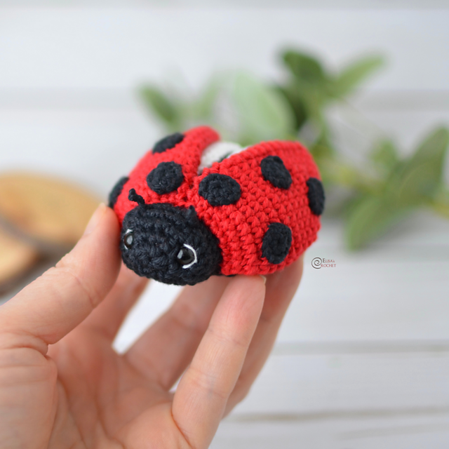 Little Ladybug