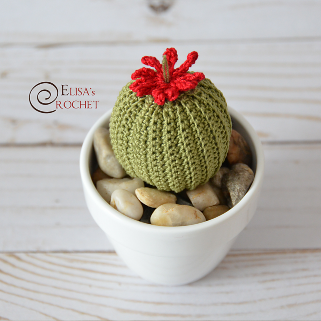 SUCCULENTS Amigurumi
