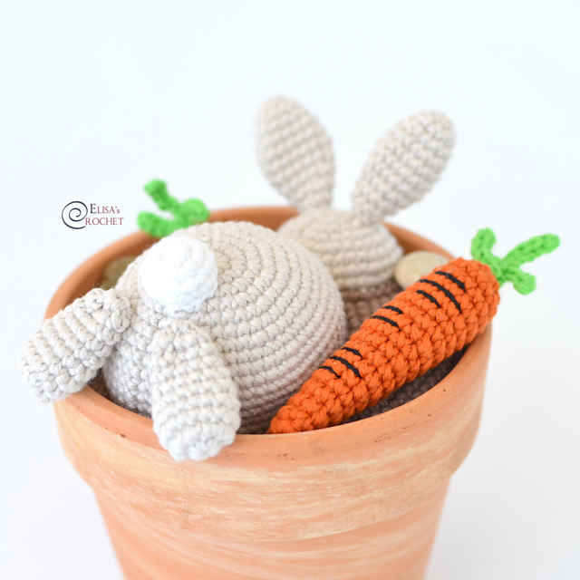 Nugget the Carrot Lover