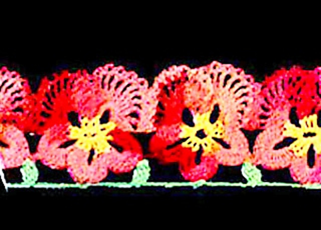 Pansy Edging #6501