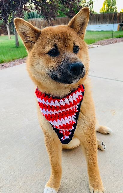 Puppy Bandana