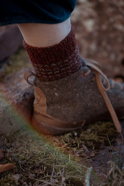Fossil socks
