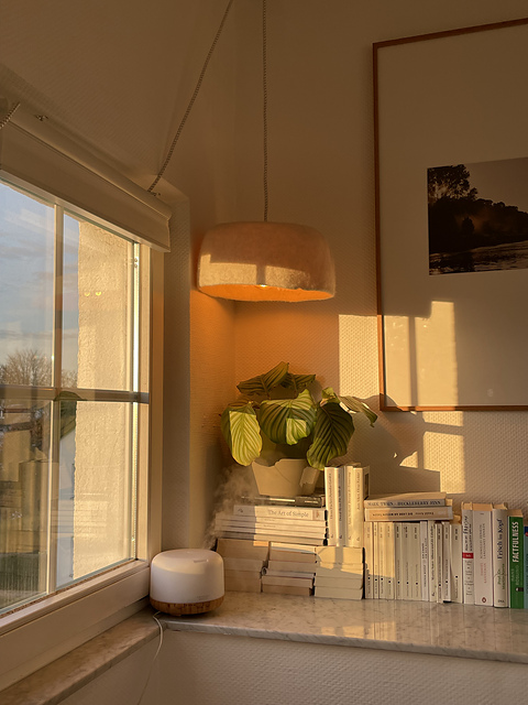 BONNIE & LOLA: knitted felted lampshades