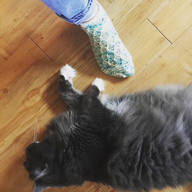 Mudflats Socks