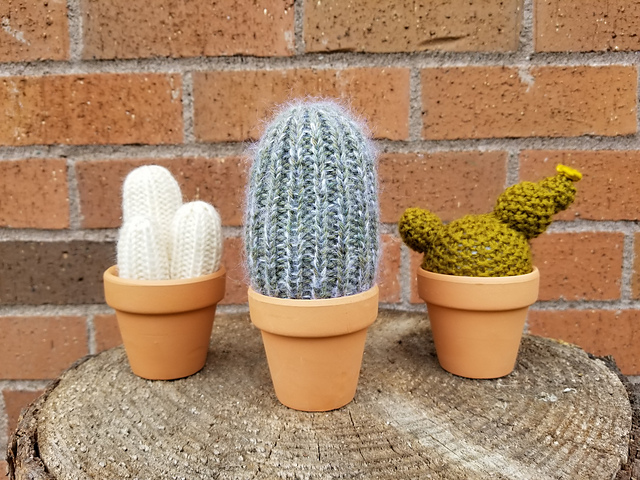 A Prickle of Cactus 2