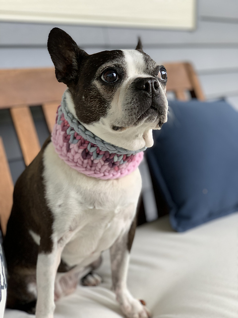 Sunrise Pet Cowl