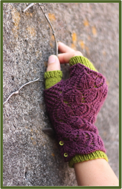 Hemerocallis Mitts