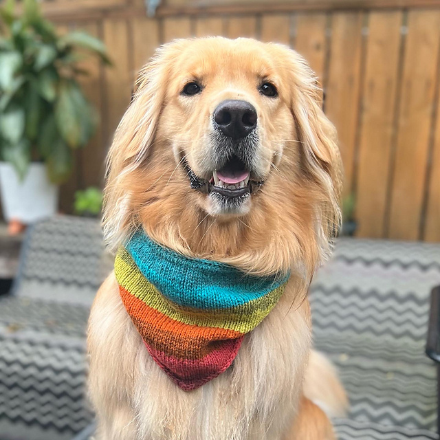 Haute Diggity Dog Kerchief