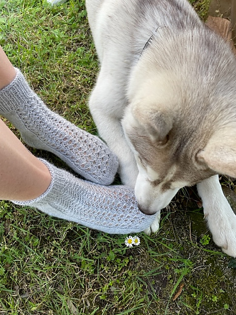 Trilly Socks