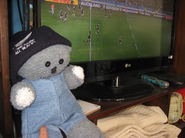 How to Knit a teddy bear
