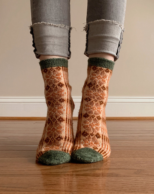 Winter's Bloom