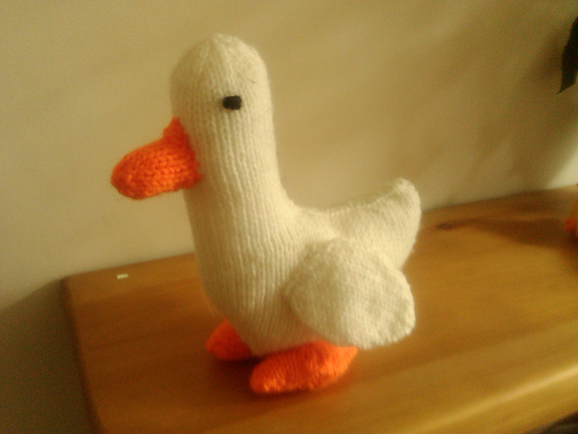 Duck