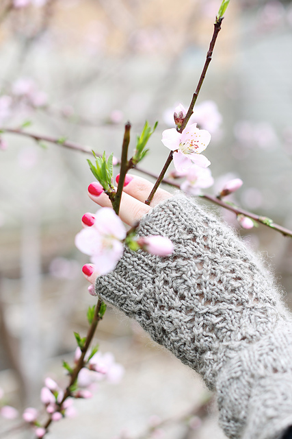 Romantic Mitts