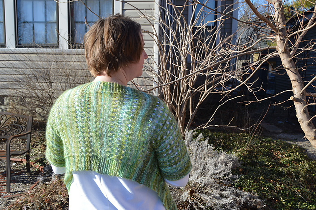 Afterthought Sleeve Bolero