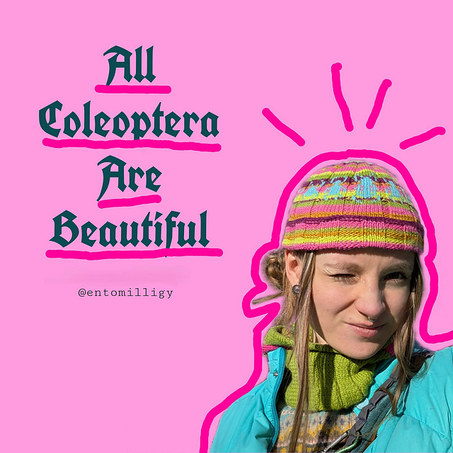 All Coleoptera Are Beautiful
