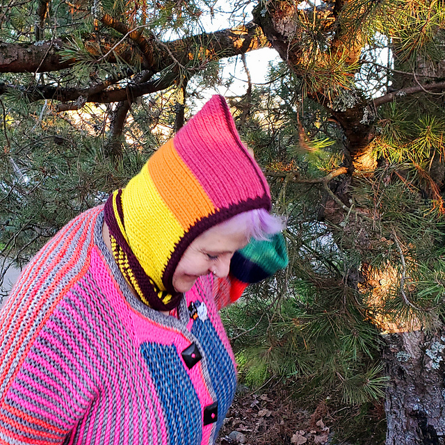 Crocheted Hood