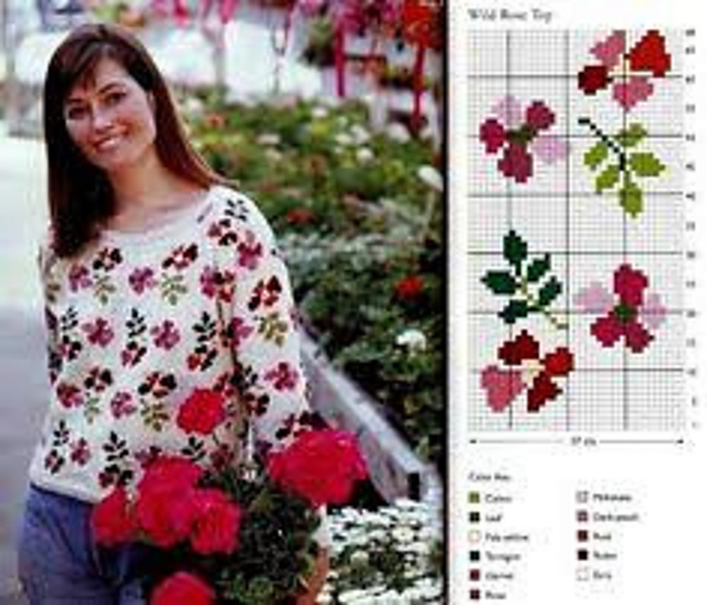Wild Rose Top