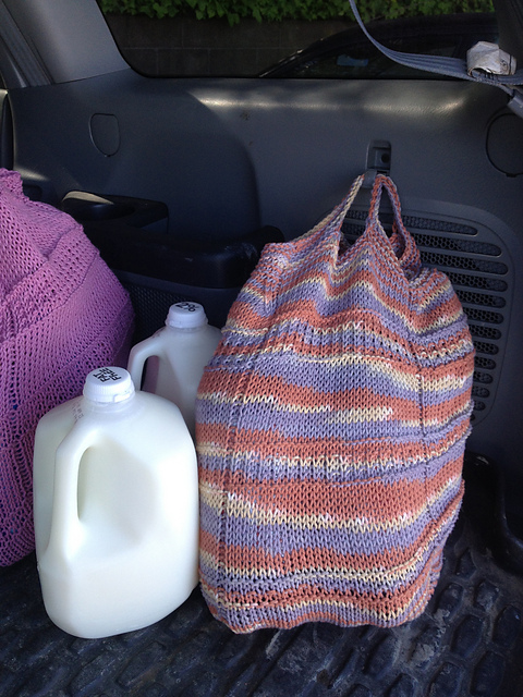 Bag Ban Grocery Bag