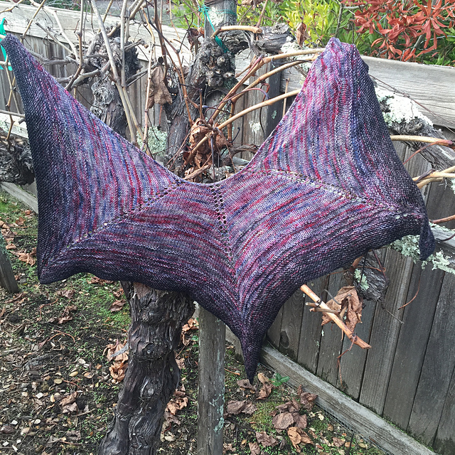 Erin's Star