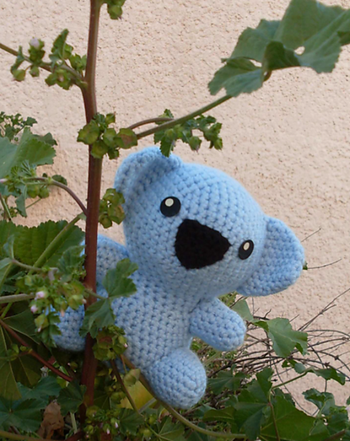 Koala