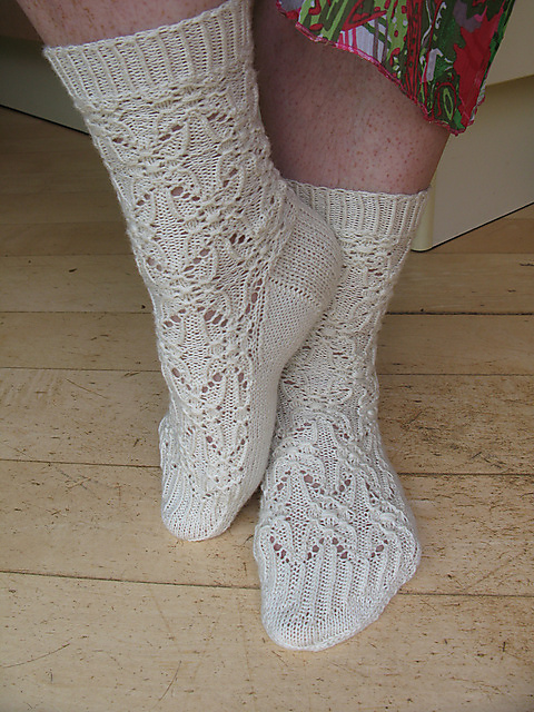 Daisy/ Margrietje