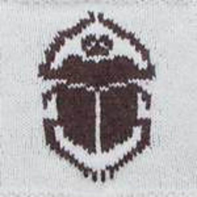 Magickal Throw: Scarab Beetle