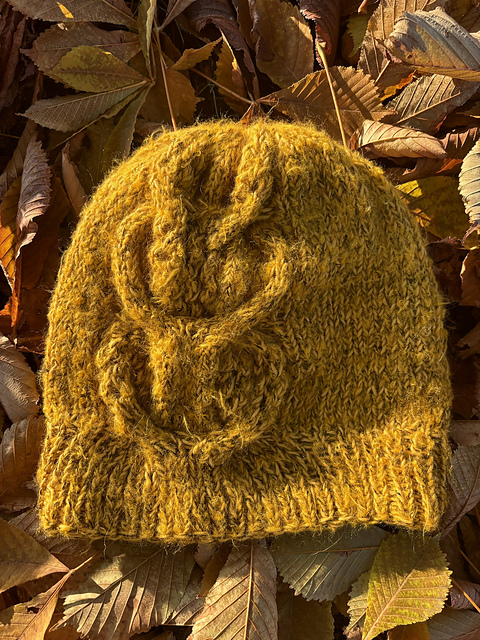 Autumn Braid Hat
