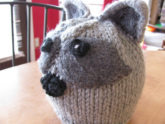 Raccoon Hat