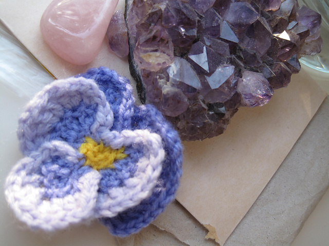Pansy