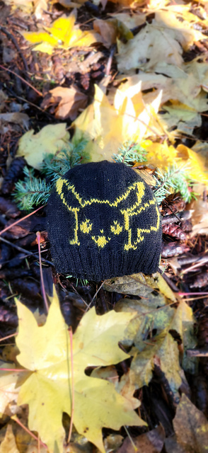 Pika!
