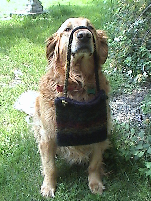 Handy Handbag