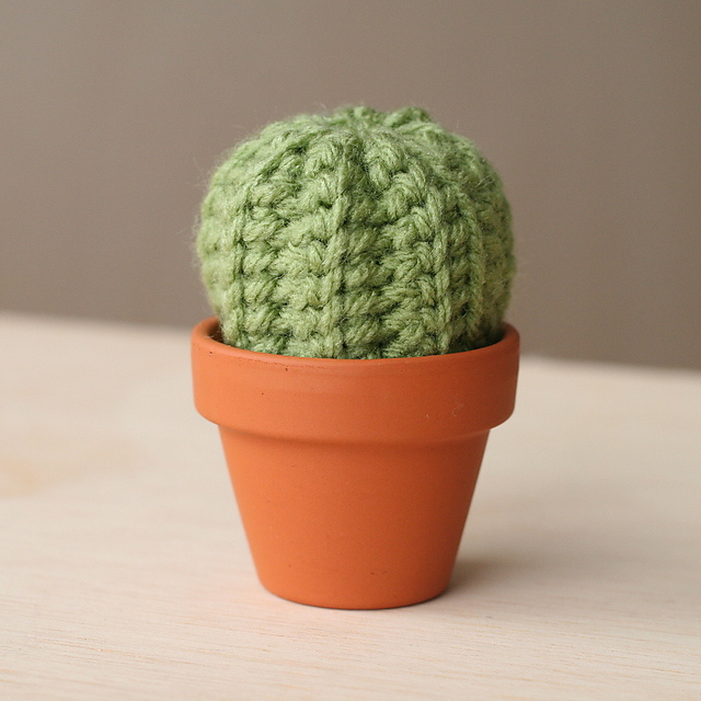 Tiny Barrel Cactus