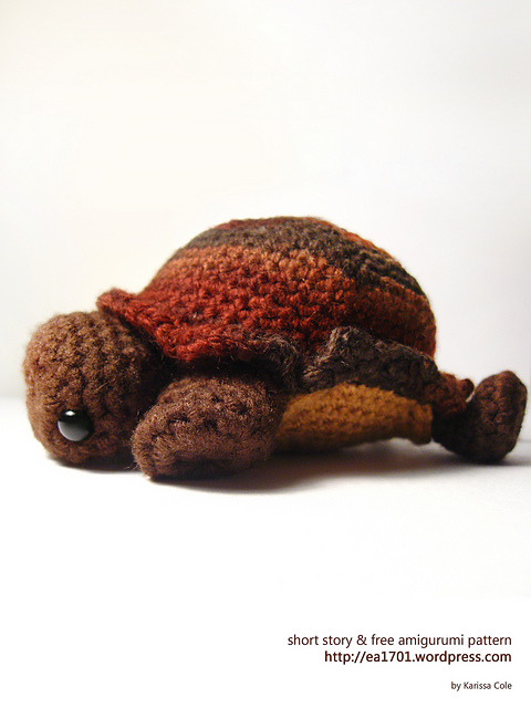 the All-Knowing Tortoise