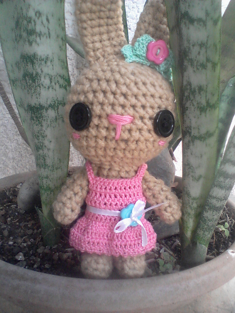 Bunny’s Sunday Best