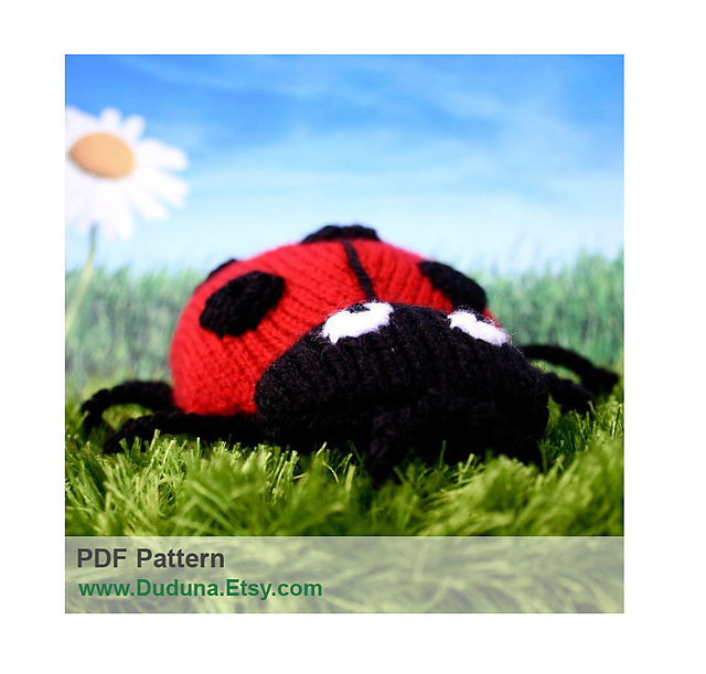 Lady Bug