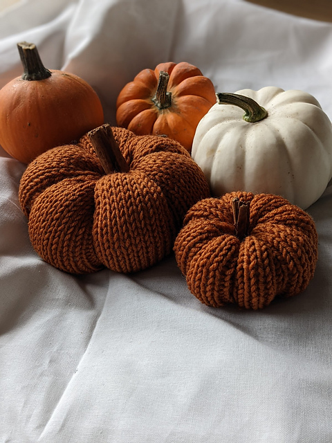 KYO Pumpkin