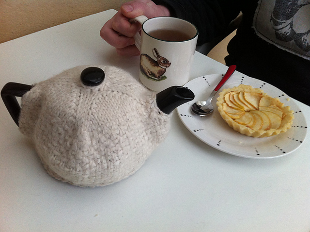 Country Home Tea Cozy