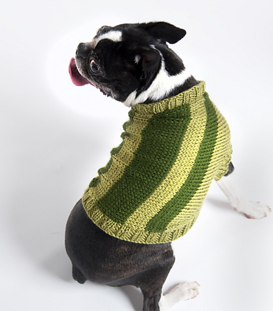 Dog Sweater