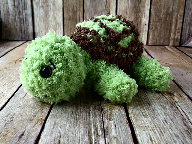 Pipsqueak Turtle