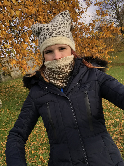Cheetah Hat