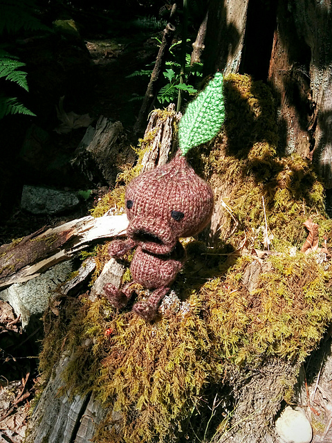 Knitted Dwaal from KWAAN