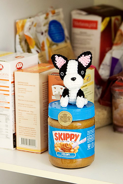 Boston Terrier