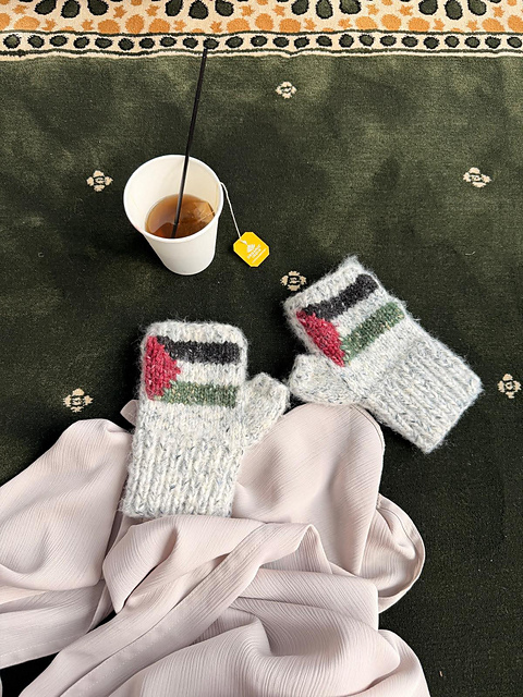 Palestine Flag Fingerless Mittens